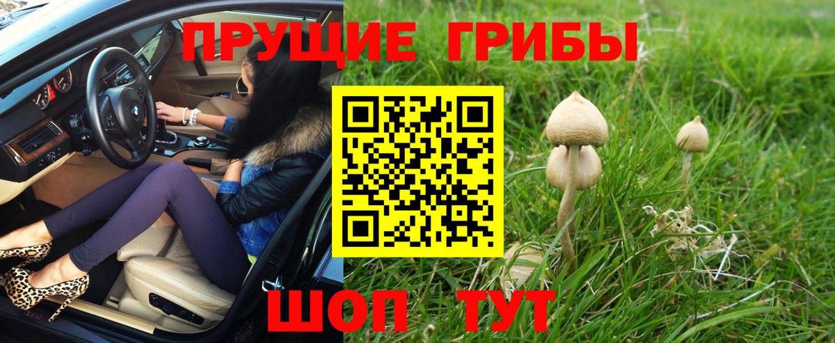 Псилоцибиновые грибы Magic Shrooms Фролово