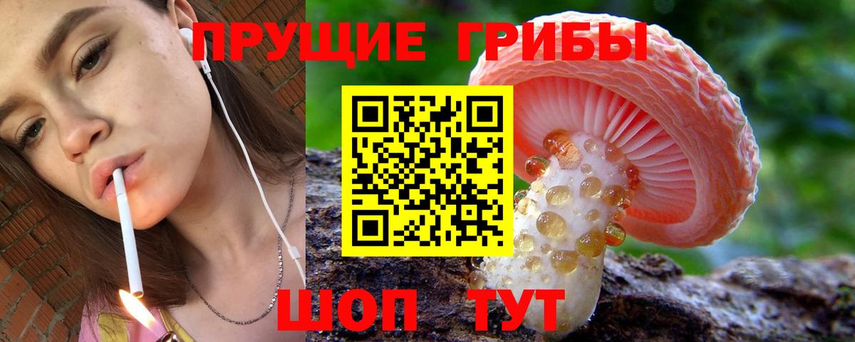 Галлюциногенные грибы прущие грибы  Вход с VPN  Фролово  Псилоцибиновые грибы GOLDEN TEACHER 